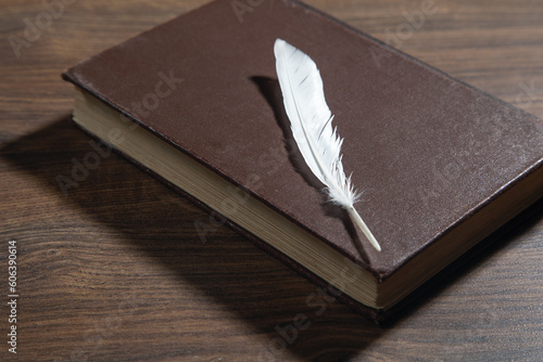 Bird feather and book on the wooden table.