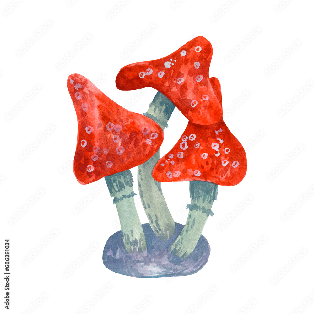 Ταπετσαρία Watercolor illustration of fly agaric on a white background
