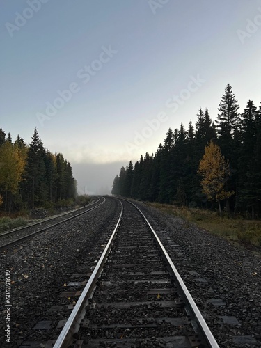 Vertical shot of the empty train tracks alongside the forest in Banff National park Canada