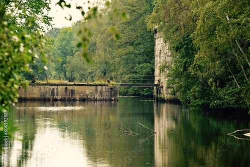 View of the river with a small bridge surrounded by green vegetation. Antwerp, Belgium.