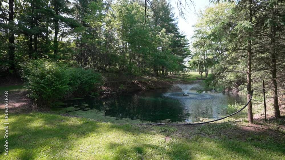 View of a pond with a fountain in the middle next to a sunny field and forest. View of a pond with a fountain in the middle next to a sunny field and forest.