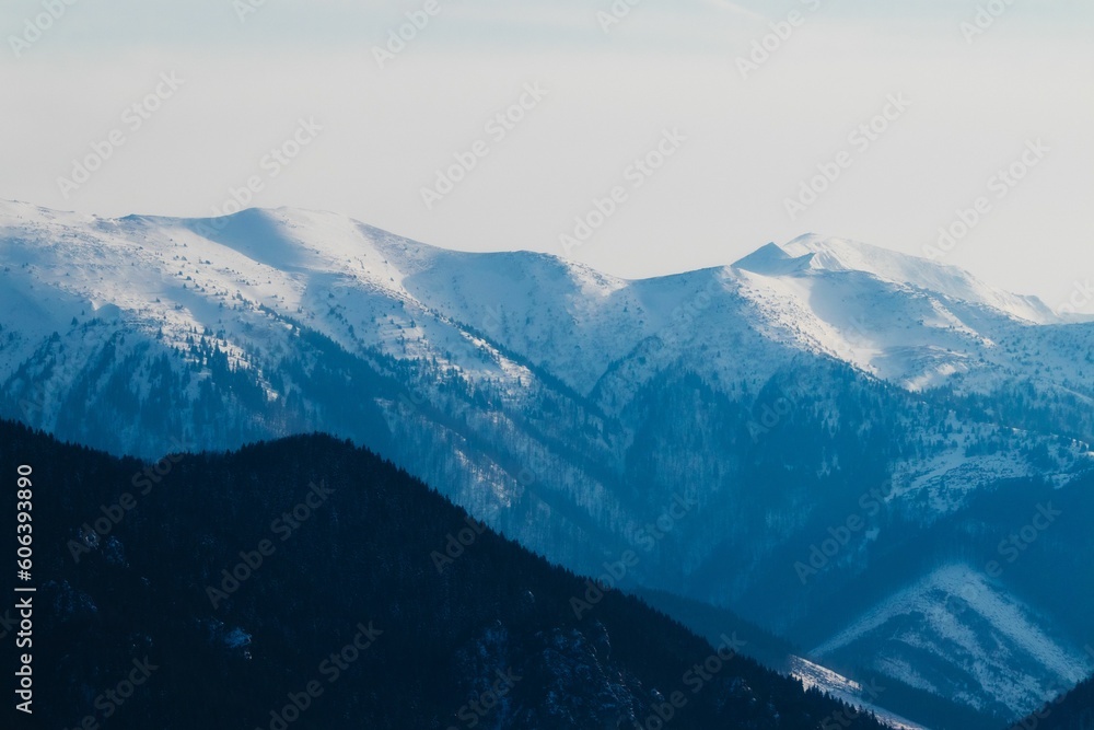 Chilling view of a mountains landscape and forest during winter