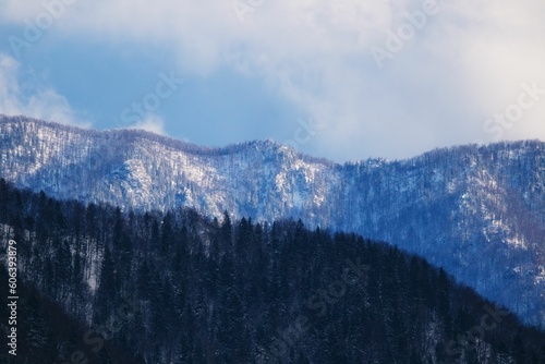 Scenic landscape in winter mountains