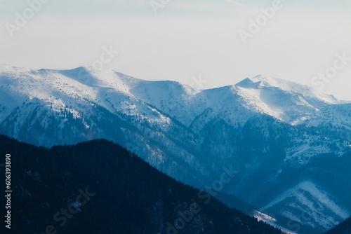 Chilling view of a mountains landscape and forest during winter © Timotej Trnovec/Wirestock Creators