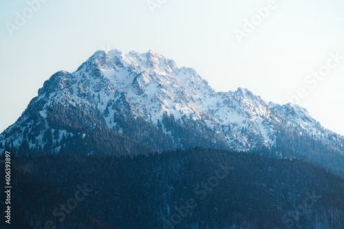 Chilling view of a mountain landscape and forest during winter