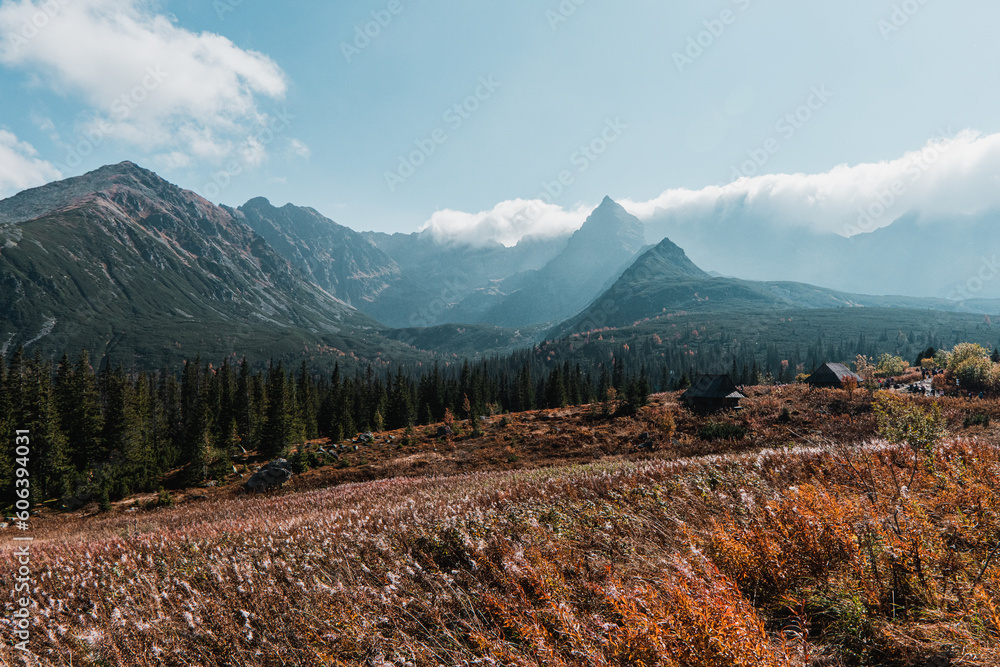 View of Koscielec Peak "Koscielec" and Swinica Peak "Swinica", High Tatra Mountains, Carpathian, Poland. Peaks surrounded by clouds. The view from the approach to the Karb Pass. - obrazy, fototapety, plakaty 