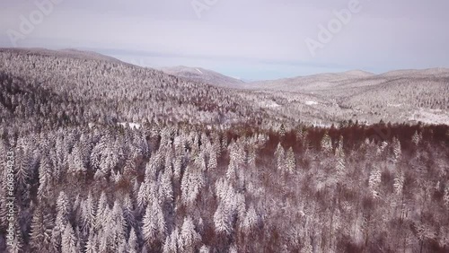 Aerial drone cinematic snowy winter forest mountain landscape Bjelasnica ski resort Olympic Sarajevo Bosnia and Herzegovina beautiful January morning slowly forward movement photo