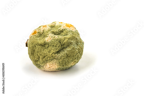 Rotten lemon with a mold on a white background