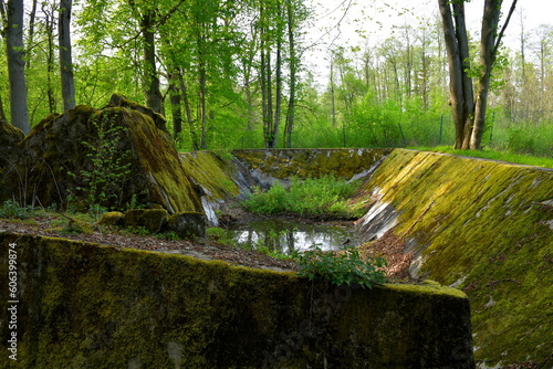 A close up on a damaged remnant of an old bomb shelter, bunker or other military structure from WWII covered with moss, shrubs, and other flora, spotted in the middle of a forest in Poland
