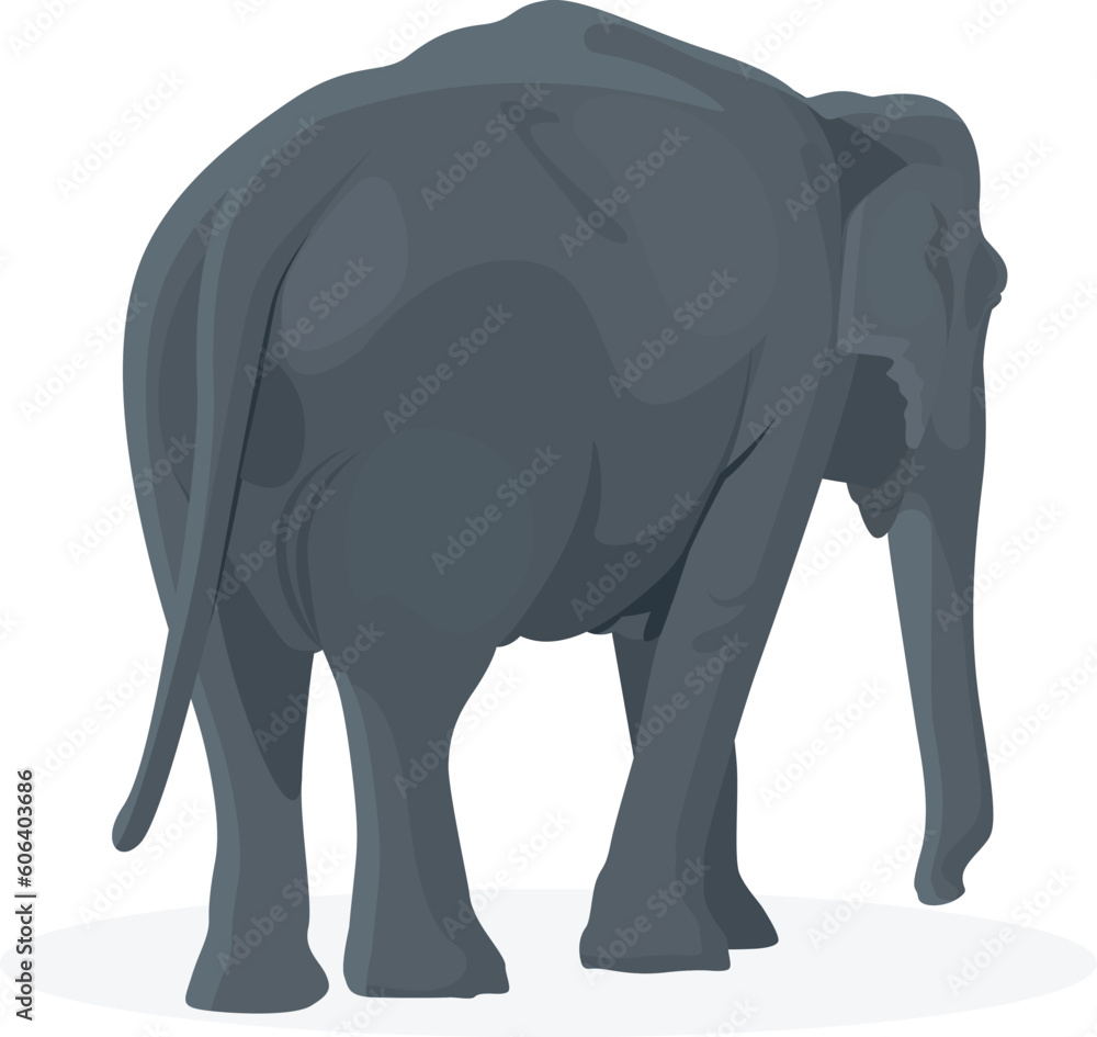 Ταπετσαρία Back view of a walking elephant isolated on a white background