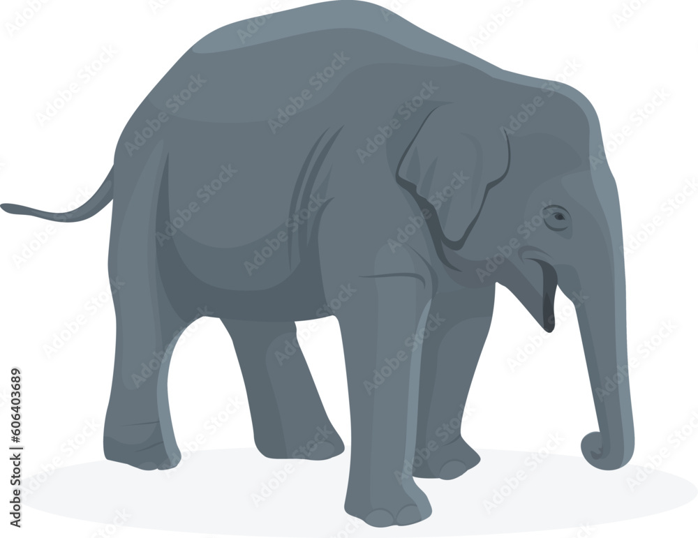 Side view of a walking elephant isolated on a white background