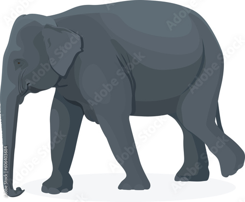 Walking elephant isolated on a white background