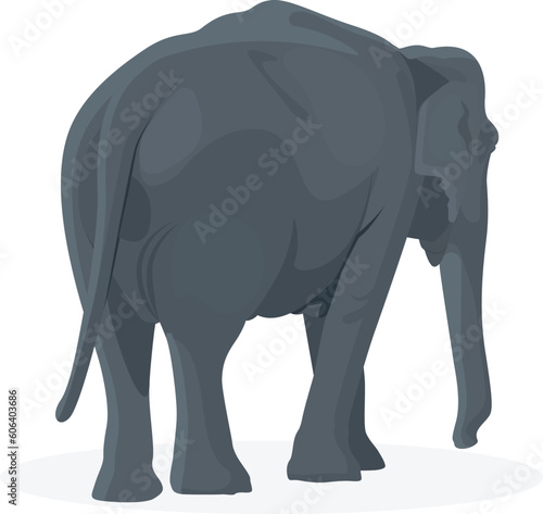 Back view of a walking elephant isolated on a white background