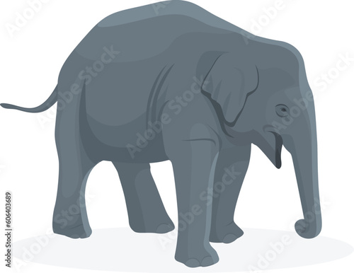Side view of a walking elephant isolated on a white background