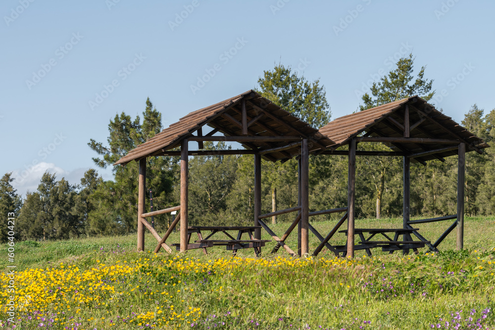 Scenic view of two wooden gazebos in the green field on the background of a forest Scenic view of two wooden gazebos in the green field on the background of a forest