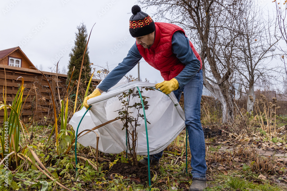 Φωτογραφία Winter Protection for garden, winter shelter for garden plants, shelter rhododen