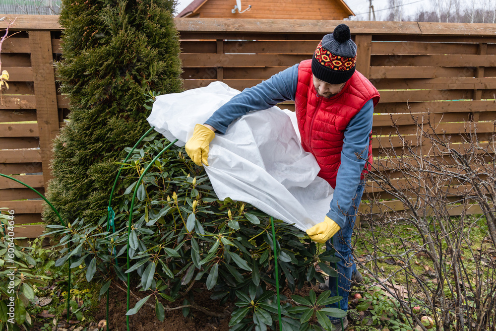 Φωτογραφία Winter Protection for garden, winter shelter for garden plants, shelter rhododen