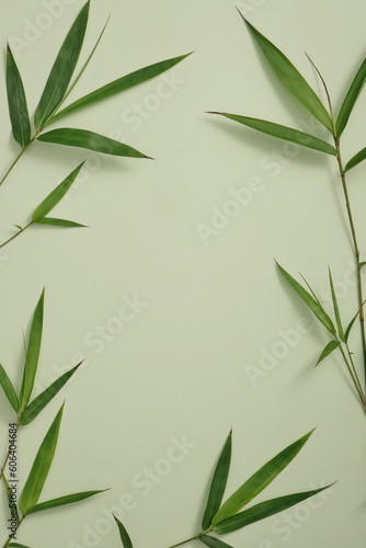 Natural beauty product concept over a light background decorated with bamboo leaves around. Activated bamboo charcoal help remove impurities and dirt from the skin