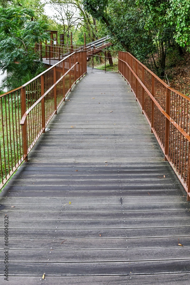 Vertical shot of a bridge trail through the greenery to Leiria Castle in Leiria Portugal