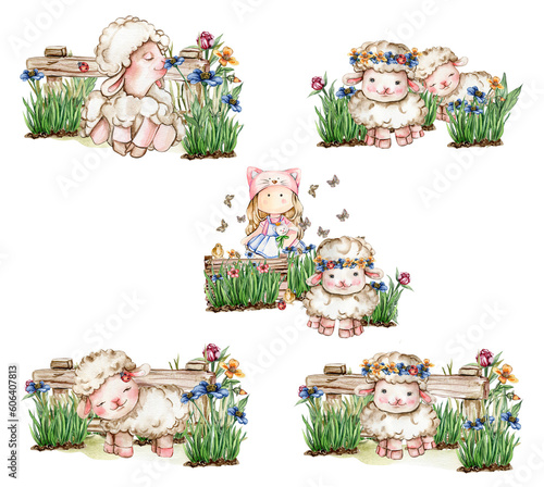 White fluffy sheep sitting in the grass with flowers and butterflies next to wooden fence. Watercolor hand drawn illustration of farm baby animal . Perfect for greetings card, poster, fabric pattern.