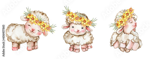 Watercolor white fluffy sheep with wreath made from yellow narcissus flowers on its head. Illustration of farm baby animal. Perfect for wedding invitation,greetings card,poster, fabric patterns.