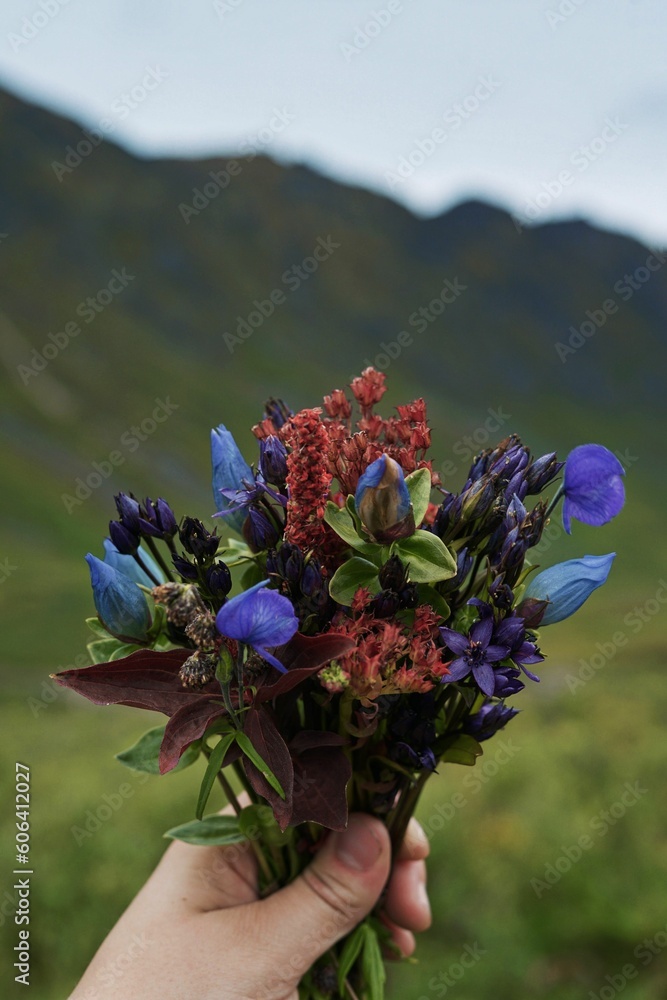 Vertical view of the hand holding a bouquet of Alaska Mountains flowers