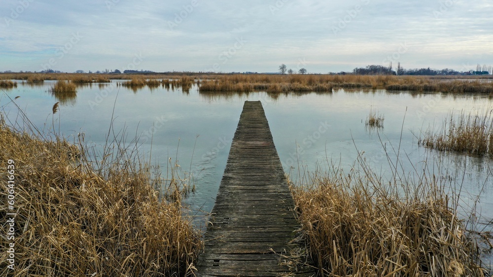 Obraz premium Wooden trail and autumn plants around Ludosko lake