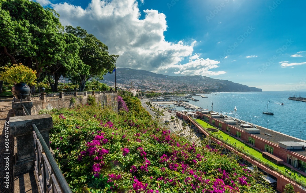 Beautiful view of the harbor of Funchal Madeira with a mountain and green trees from a high point
