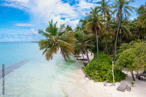 Palmen am Strand einer unbewohnten Insel auf den Malediven