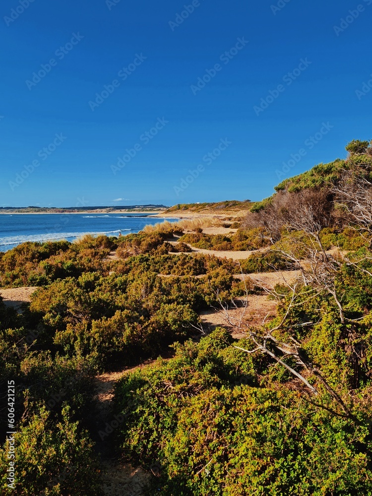 Vertical shot of a beautiful sea near Shelley Beach in Melbourne, Australia