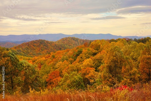 Fototapeta Naklejka Na Ścianę i Meble -  Scenic shot of Blue Ridge Mountains during autumn in USA