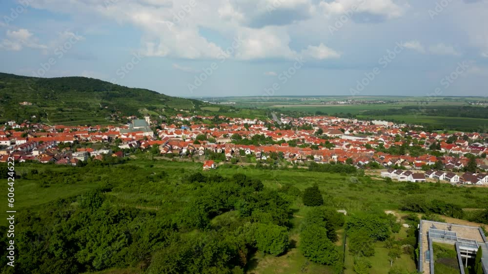 Drone view of the vineyard and the beautiful town of Svaty Jur, Slovakia, 4k Drone view of the vineyard and the beautiful town of Svaty Jur, Slovakia, 4k