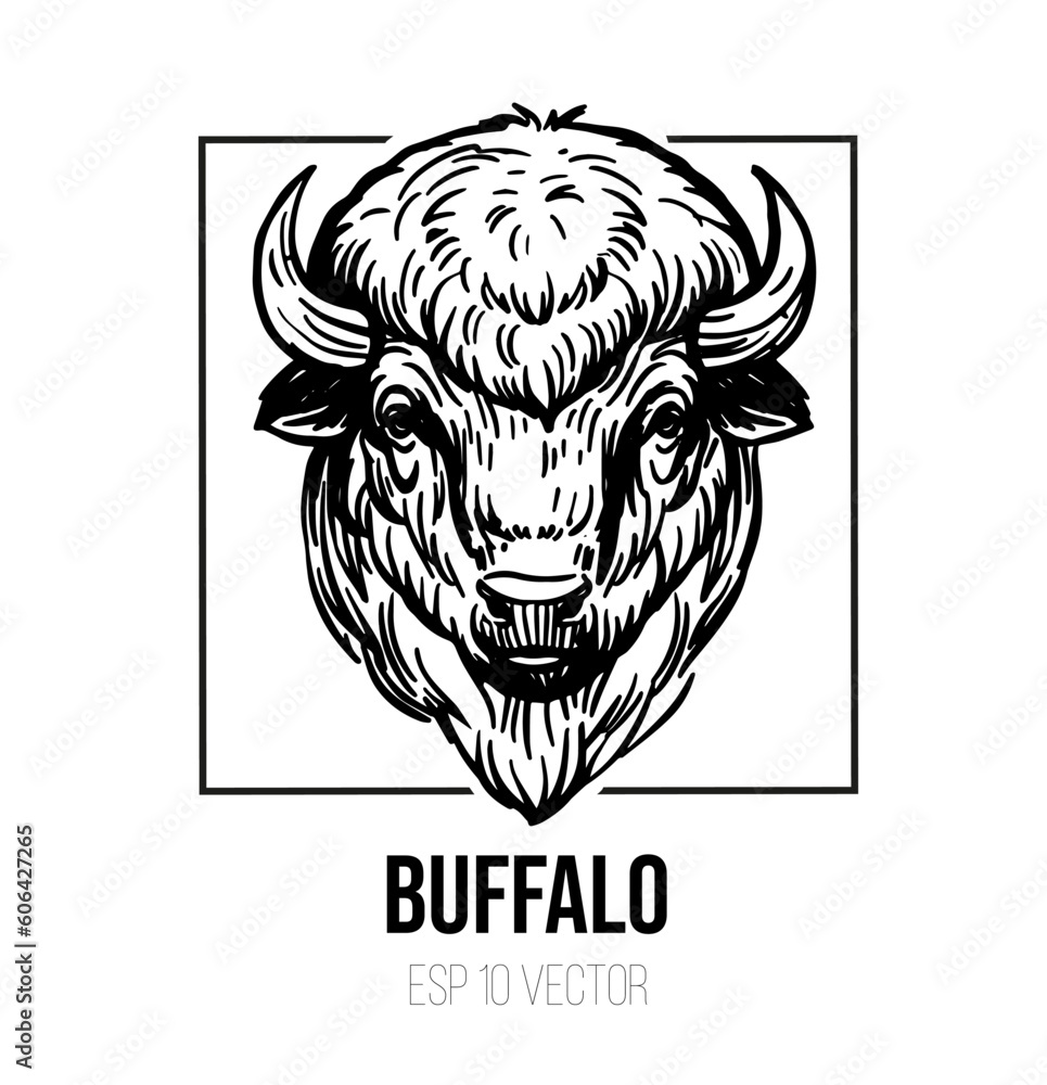 Obraz premium Buffalo vector sketch, bison illustration, black outline