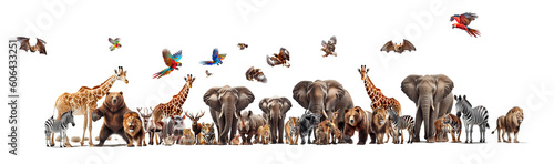 Fotografia Many wild animals, elephants, zebras, giraffes, birds, tigers, lions, rhinos, tigers, leopards on a transparent background (PNG)