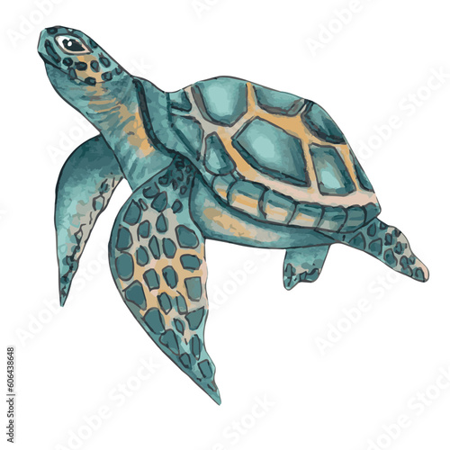 Sea turtle. Cute animal design. Turquoise sea turtle swims in the water. Hand drawn illustration.