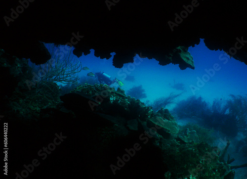 a diver in a cave in the caribbean sea © gustavo