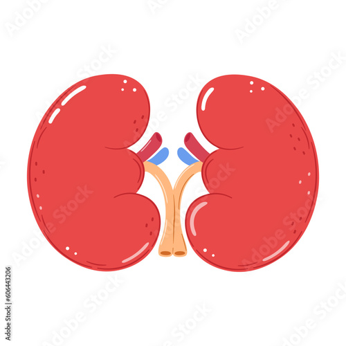 Kidneys organ character. Vector hand drawn cartoon kawaii character illustration icon. Isolated on white background. Kidneys character concept