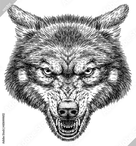 Vintage engraving isolated gray wolf set illustration ink sketch. Wild dog background animal silhouette art. Black and white hand drawn vector image.