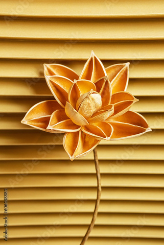Dried lotus flower crafting from fruits shell. DIY home decorating.