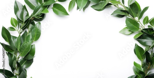 green plant and leaves frame isolated on white background
