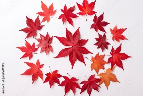 red maple leaves isolated on white background