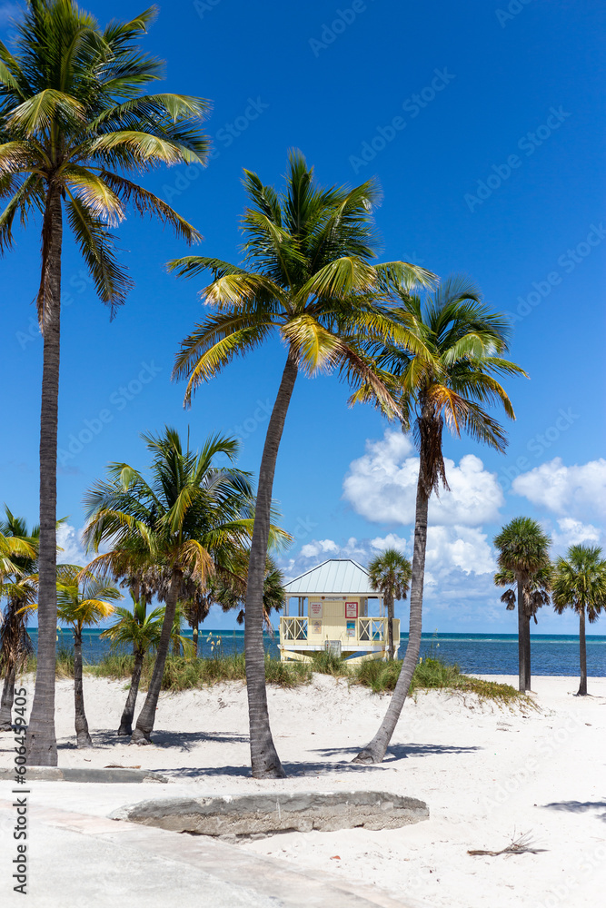 palm trees on the beach with lifeguard hut