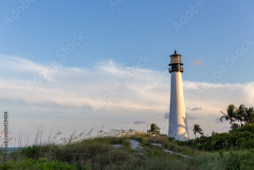 Cape Florida Lighthouse With Seagrass