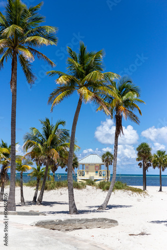palm trees on the beach with lifeguard hut © Rob