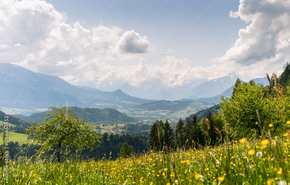 Summer landscape Windischgarsten Totes Gebirge, Upperaustria