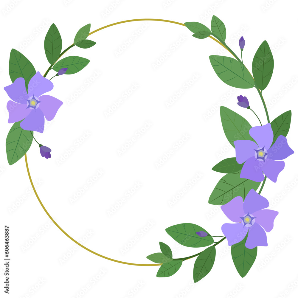 Fototapeta premium Round gold frame with periwinkle flowers isolated on a white background. Spring vector frame. 