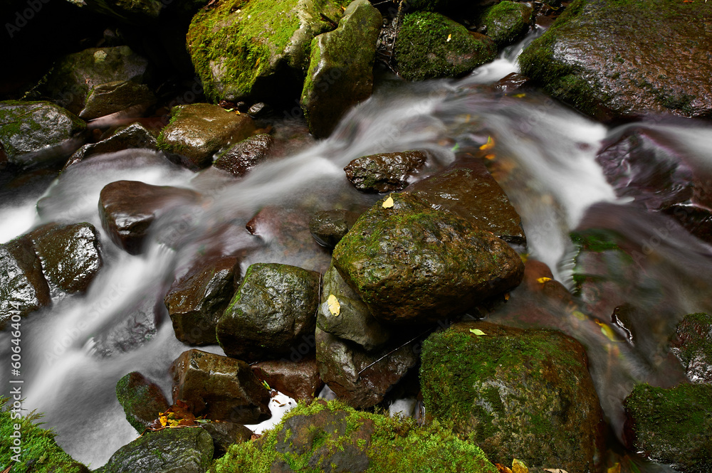 Obraz premium Small waterfalls between beautiful stones at the end of a levada on Madeira