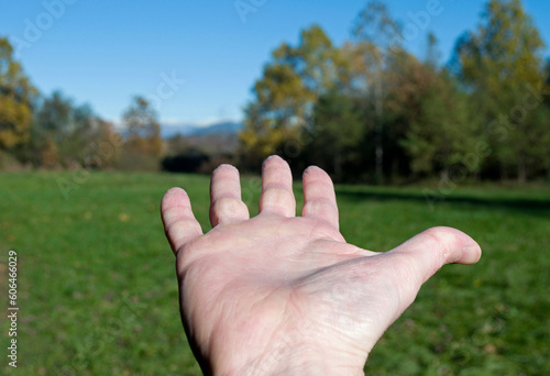 Man's hand extended toward a woodland © saturno