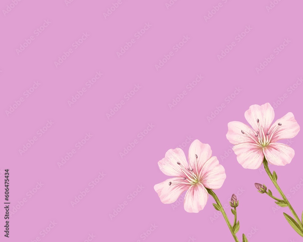 Pink flowers with plain background