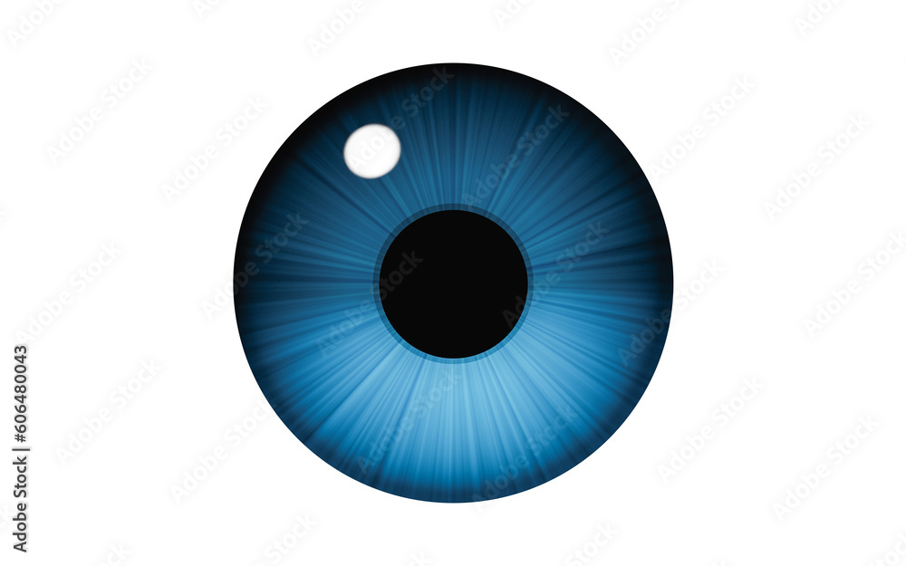 Eyeball and pupil, 3d rendering. Eyeball and pupil, 3d rendering.